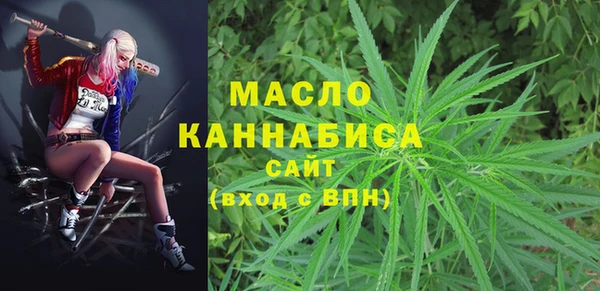 крисы Ветлуга