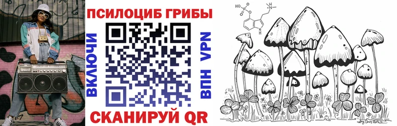 хочу наркоту  Кологрив  Псилоцибиновые грибы мухоморы 